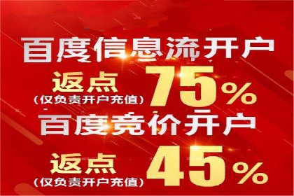 行业领先企业的SEM优化之路